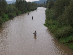 Puchar Burmistrza Gorlic 2014