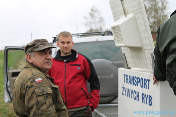 10 tysięcy kleni zasiliło Moszczankę!