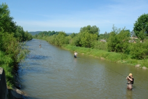 Muchowe Mistrzostwa Koła - 20 maja 2012