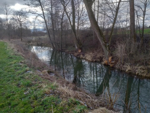 Uwaga! zagrożenie na stawie nr 2 w Kobylance