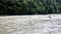 Muchowe Mistrzostwa Koła na Dunajcu
