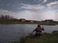 Wyniki zawodów o Puchar Burmistrza Gorlic 2019