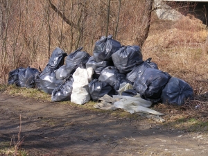 Sprzątanie brzegów Ropy - 27 luty 2016