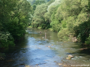 Puchar Burmistrza Gorlic w wędkarstwie muchowym znalazł swojego właściciela!
